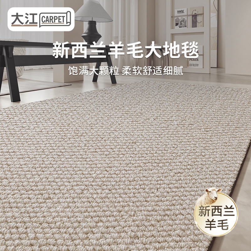 新西兰羊毛地毯客厅极简素色轻奢高级卧室沙发家用床边耐脏易打理