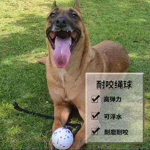 Тренировки для любимых собак, веревочный мяч тренинги собака кусают зубы с большими собаками, интерактивные Corgi Self -Relive Survey Artifact Dog Toys