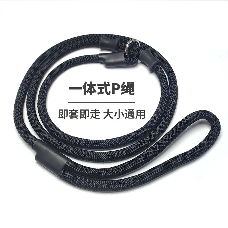P绳宠物小中大型犬外出遛狗绳子