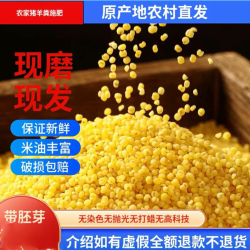 农家自种黄小米现磨现发产地直发