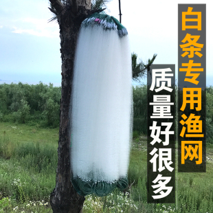 振远正品米单层粘网白条网半指指1.5柔丝捕鱼网鱼浮网沉网渔网