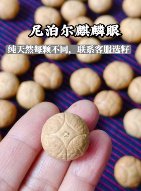 尼泊尔凤眼菩提四星麒麟五星上将精选级单颗佛头三通配饰一物一拍