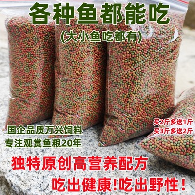 锦鲤鱼金鱼鱼粮通吃型饲料