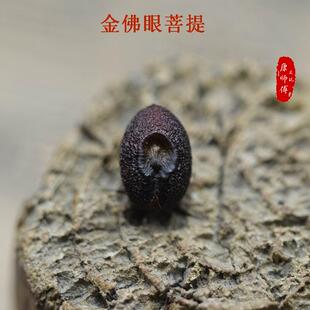 金佛眼菩提原籽 印度小叶紫檀雕刻定做 紫檀风化料 橄榄核雕 雕刻