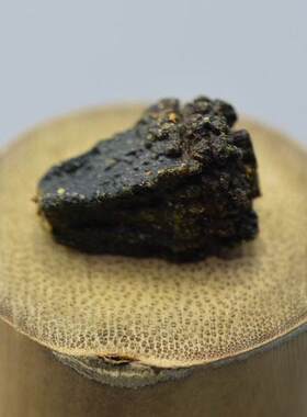 佛坛菩提紫金钵菩提柏香籽柏香子百香树柏香籽佛珠柏香籽