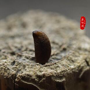 石刀菩提 金钵菩提 滴血莲花菩提 凤眼菩提 印度小叶紫檀 核雕