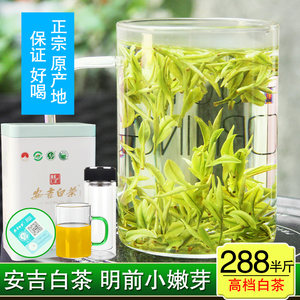 2024年新茶安吉白茶二采3优