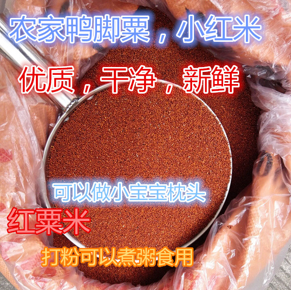 农家特产鸭爪粟新鲜红小米五谷杂小米