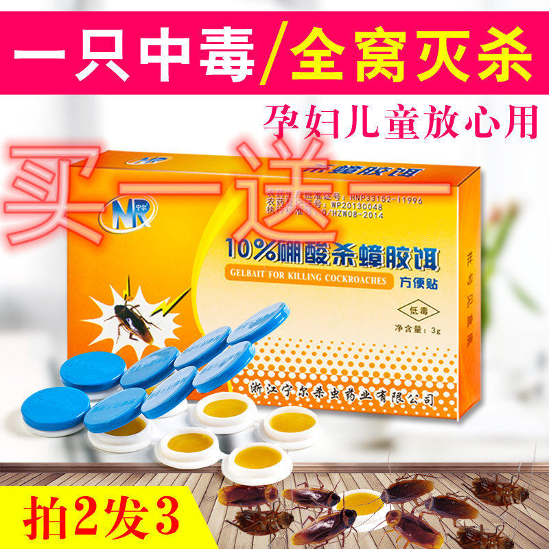 蟑螂药硼酸除去脏螂的贴片丸一窝端家用无害室内厨房贴饭店一锅端