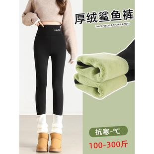 大码女裤200斤胖mm冬季加绒加厚打底裤加肥加大鲨鱼裤300斤芭比裤