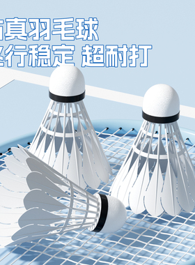 羽毛球小学生专用耐用耐打尼龙仿真塑料室外防风训练专用儿童练习