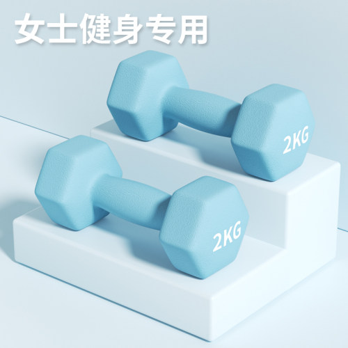 哑铃女士健身家用2kg一对实心铁质杠铃3kg亚铃铸铁六角形举重器材
