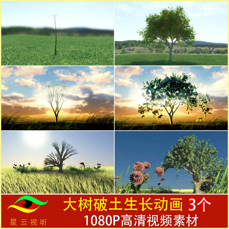树木发芽破土而出 生长成参天大树 led背景动画 高清视频素材