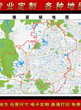 2025年东莞市塘厦镇地图贴图办公室街道墙壁贴装饰画地形