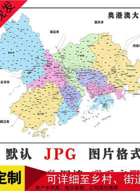 奥港澳大湾区2m可特殊定制行政路网图JPG格式电子版高清图片地形