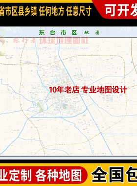 超大巨幅 东台市区地图订制定做 城市城区海报2025新版装饰画卫星