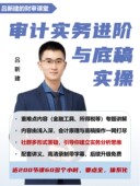 审计实务进阶与底稿实操 吕新建