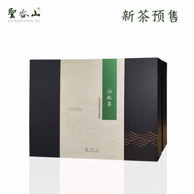 2025年预售新茶特级日照绿茶