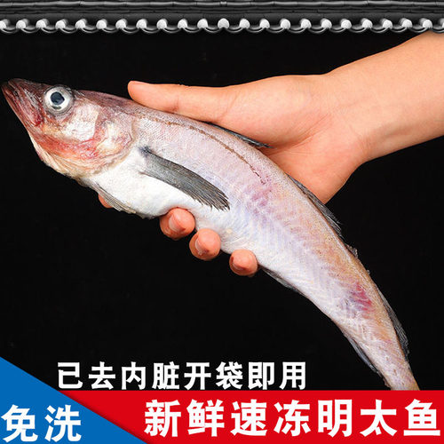 延边特产冷冻新鲜明太鱼 海鲜冻鱼 辣焖明太鱼新鲜大棒鱼柴鱼免洗