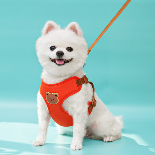 可爱小熊胸背带可牵引狗猫通用