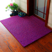 家用门口防滑塑料地垫进门加厚丝圈垫子入户门PVC可裁剪室外地毯