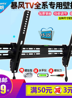 BFTV/暴风液晶电视适用壁挂架40X-65寸32X3/43X3/50AI4A/55X4/58X
