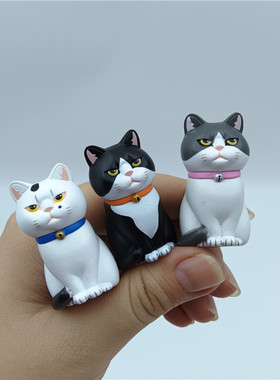 pvc摆饰可爱纸袋里的猫咪