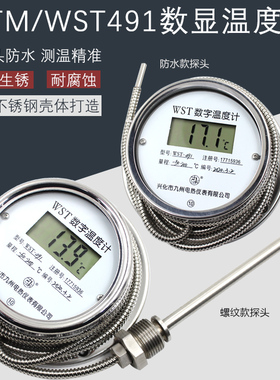 数显温度计WST/DTM491高精度酸碱水温表防水温度表不锈钢测温表