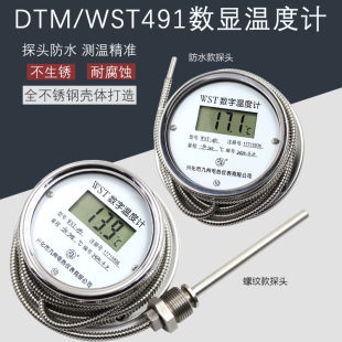 数显温度计WST DTM491高精度酸碱水温表防水温度表不锈钢测温表