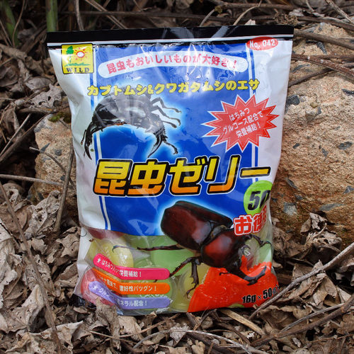 独角仙中扁中大锹甲成虫果冻饲料