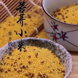 山东苦荞黄小米黄新米5斤特产农家五谷粮香粘米杂粮包邮