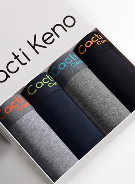 4pcs Boxer Shorts Men's Panties Cotto Underpants Boxershorts