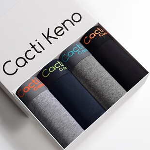 4pcs Boxer Shorts Men's Panties Cotto Underpants Boxershorts
