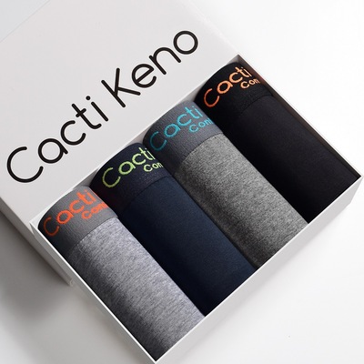 4pcs Boxer Shorts Men's Panties Cotto Underpants Boxershorts
