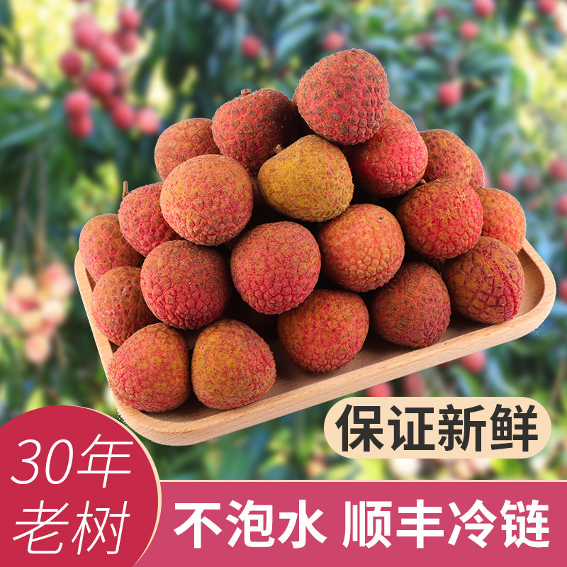 〖京东冷链〗福建漳州黑叶荔枝新鲜现摘现发当季水果罂乌叶5斤