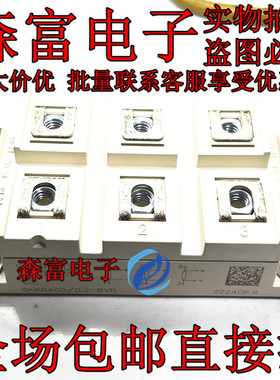 进口全新原装SKKR400/0.2-BVR 功率模块 实物拍摄 现货 欢迎订购