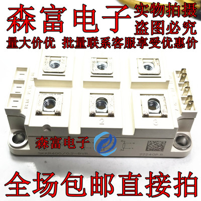 进口全新原装SKKR400/0.2-BVR 功率模块 实物拍摄 现货 欢迎订购