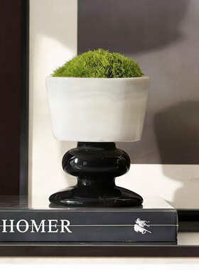 现代简约天然大理石花器苔藓微景观摆件样板间售楼处台面苔藓摆设