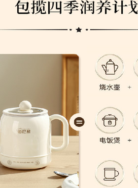 智能电炖杯炖煮电热杯全自动