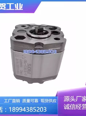 原装SUORUI齿轮泵CBDa-F1L00LIBL-BA 液—议价