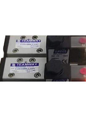 全新TEAMWAY电磁阀PV-2521-FX-110V—议价