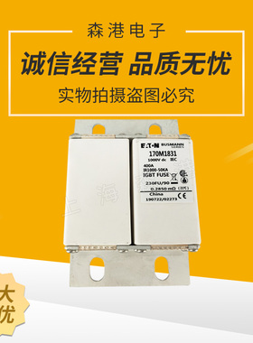 170M系列170M1831熔断器，熔芯，保险丝底座