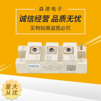 供应全新模块，IGBT SKM75GB12V