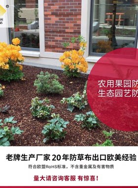 小卷别墅庭院耐用园林绿化