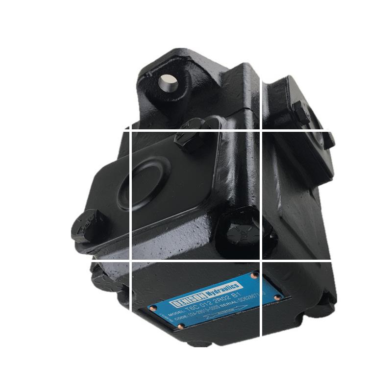 现货DENISON SDV10 1B1B/1B2B/1B3B/1B4B 1A/1B/1C/1D