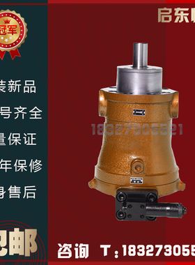 启东恒宇10/16/25/32/40/63/80/160/250/400PCY14-1B轴向柱塞泵