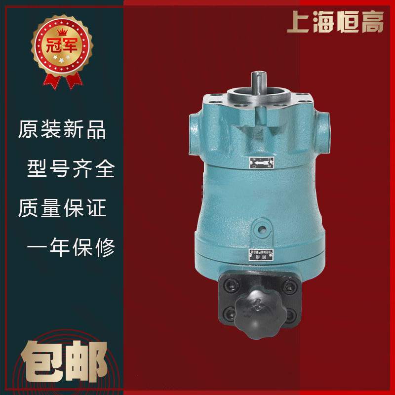 上海恒高10/16/25/32/40/63/80/100/160/250SCY14-1D轴向柱塞泵图片