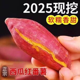 红心蜜薯西瓜红蜜薯正宗沙土地新鲜农家红薯沙地糖心番薯香甜地瓜