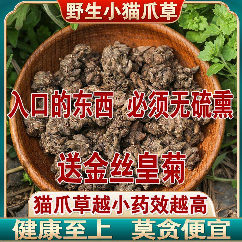 中药材猫爪草中药野生新鲜水洗
