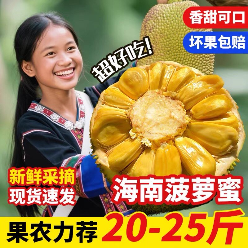 海南三亚黄肉干苞菠萝蜜新鲜采摘水果一整个包邮批发官方旗舰店